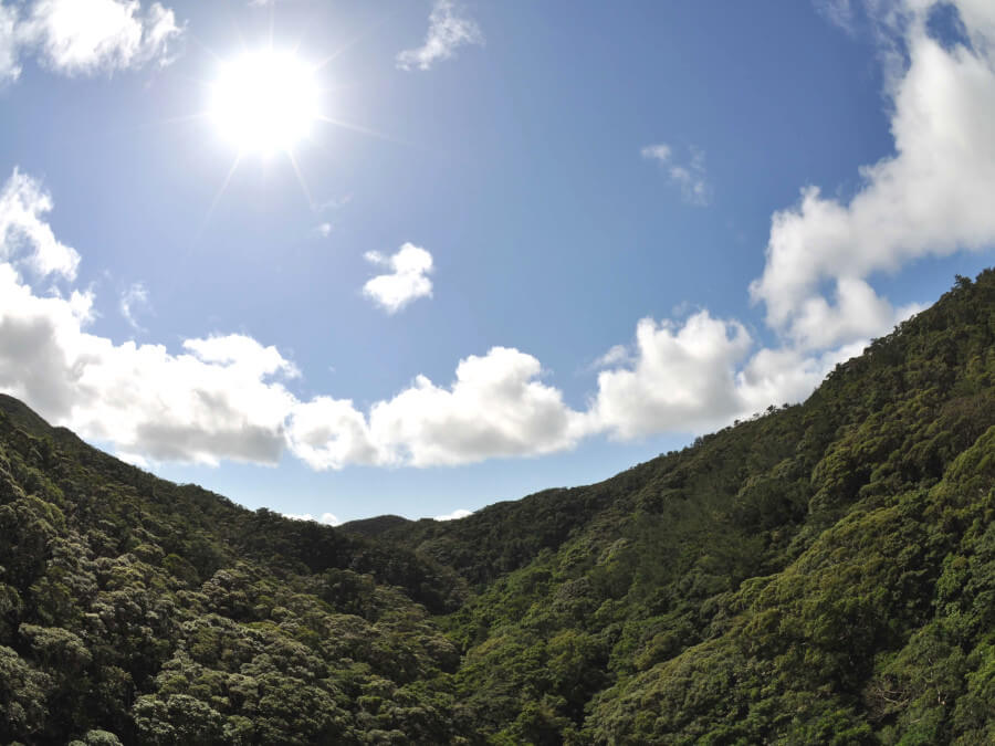太陽と山